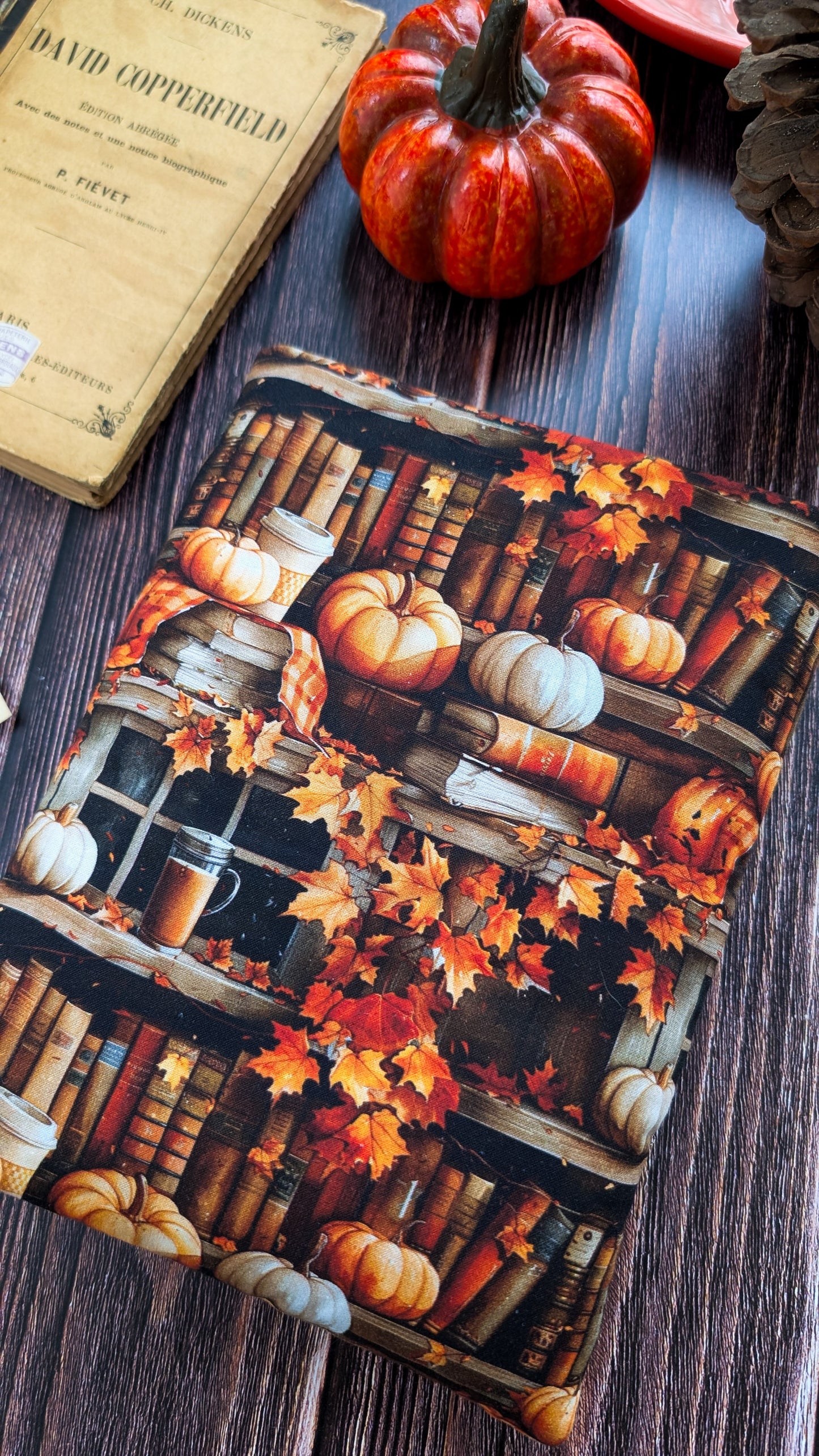 Pochette à livre et liseuse imprimé bibliothèque citrouilles